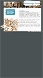 Mobile Screenshot of dansmagazijn.nl